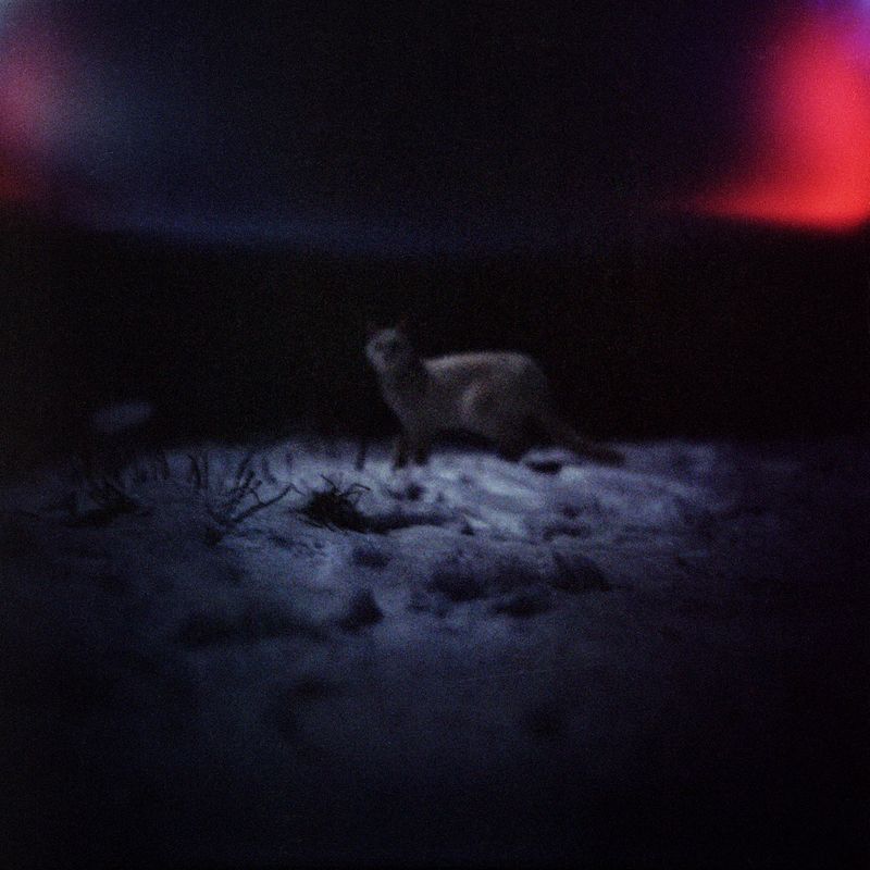 © Ivan Kardashev - Anastasia Gavras, 2013