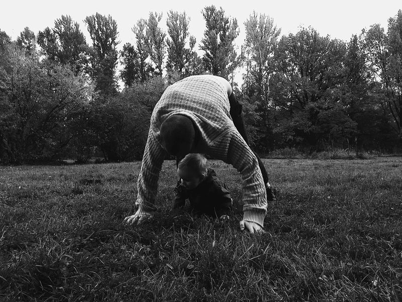 © Ivan Kardashev - Anastasia Gavras, 2016