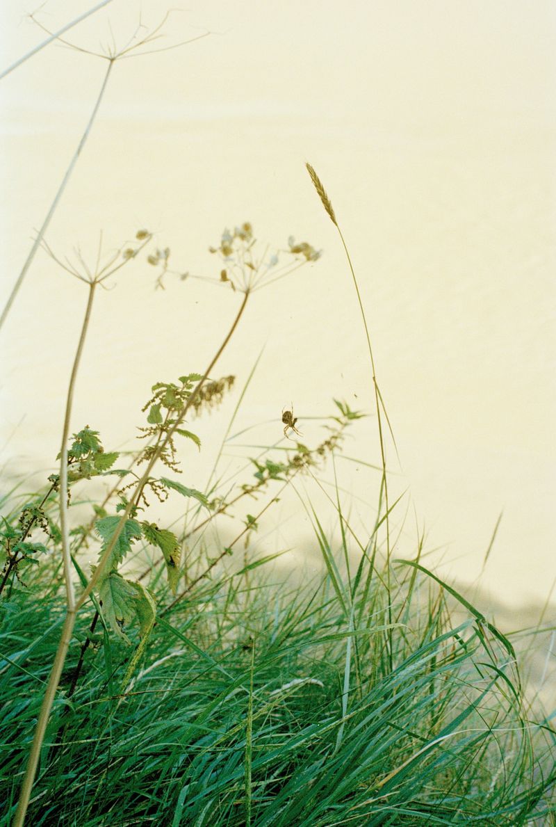 © Annabel Fitzsimons - Image from the At the Median photography project