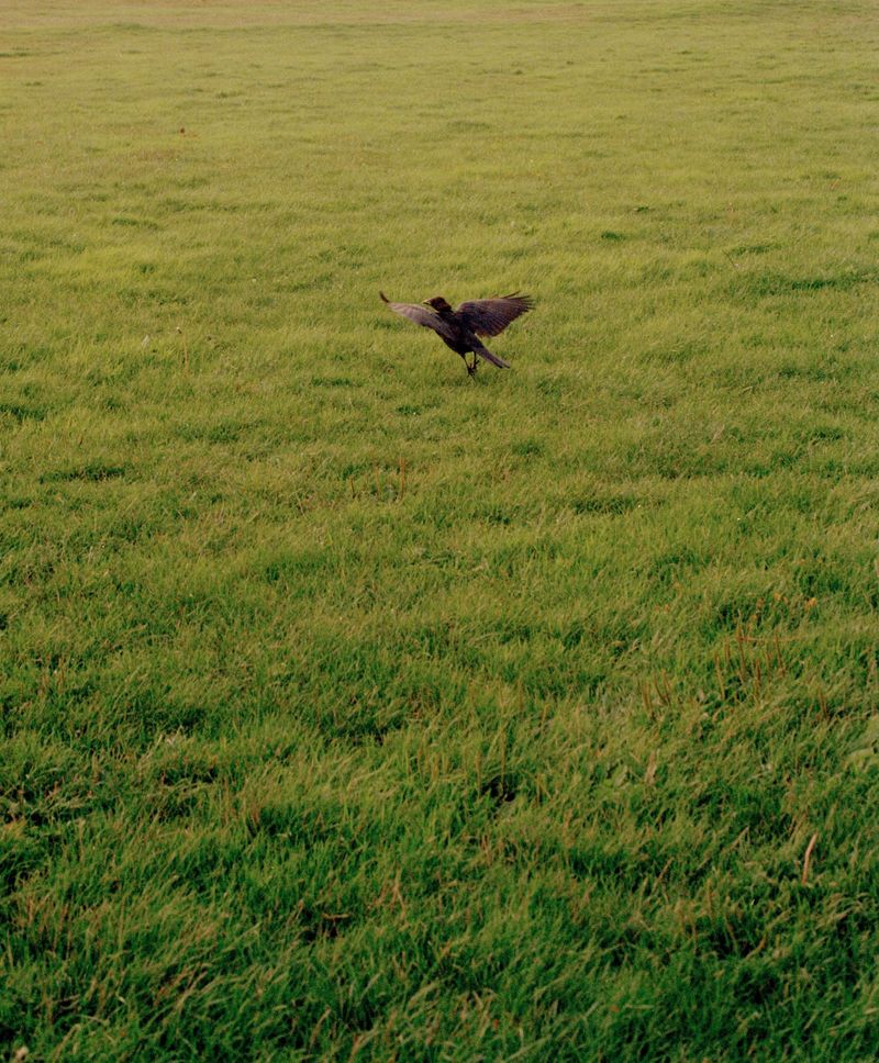 © Annabel Fitzsimons - Image from the At the Median photography project