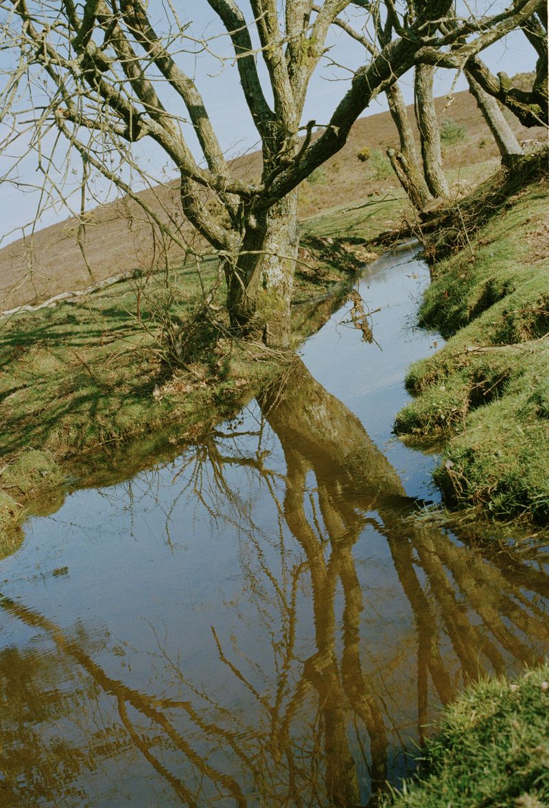 © Annabel Fitzsimons - Image from the At the Median photography project
