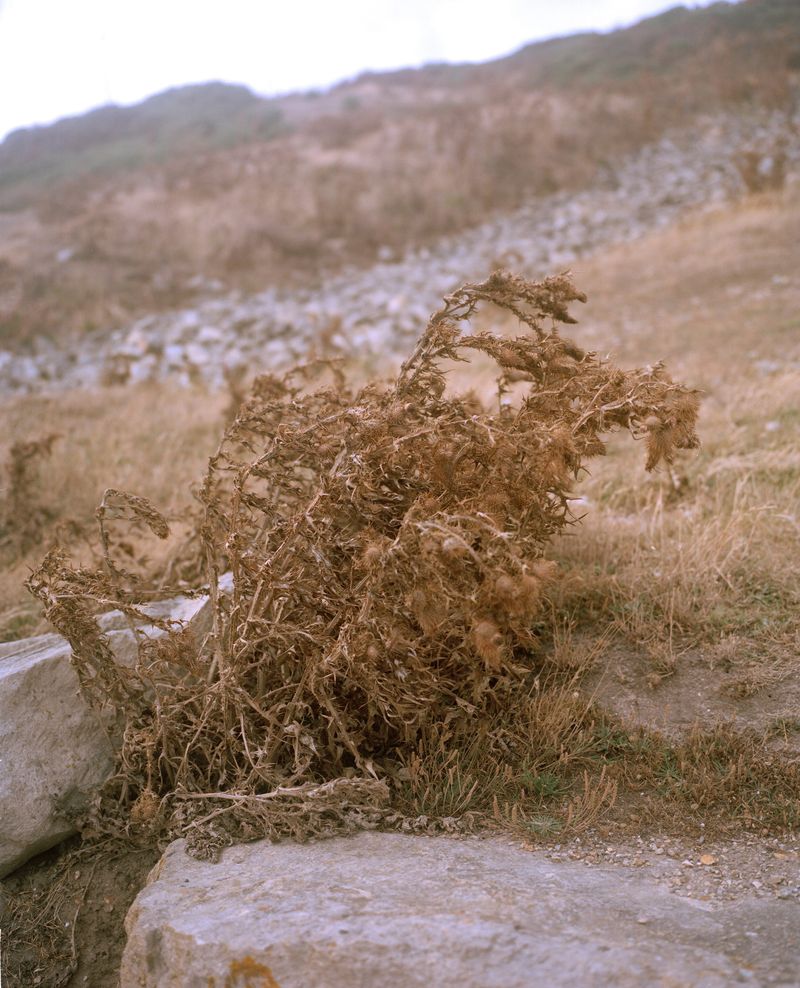 © Annabel Fitzsimons - Image from the At the Median photography project