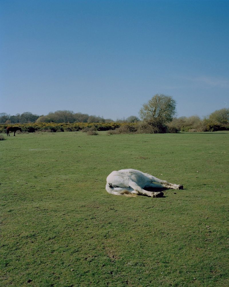 © Annabel Fitzsimons - Image from the At the Median photography project