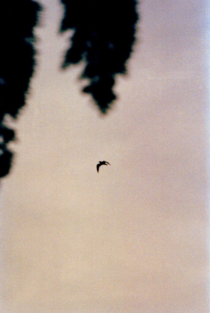© Annabel Fitzsimons - Image from the At the Median photography project