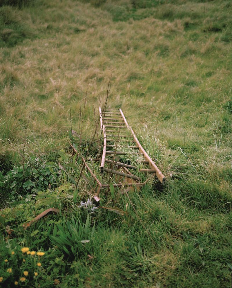 © Annabel Fitzsimons - Image from the At the Median photography project