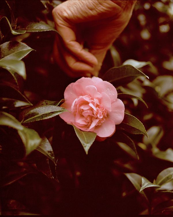 © Annabel Fitzsimons - Image from the At the Median photography project