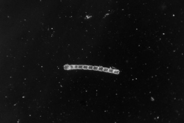 © Bénédicte Blondeau