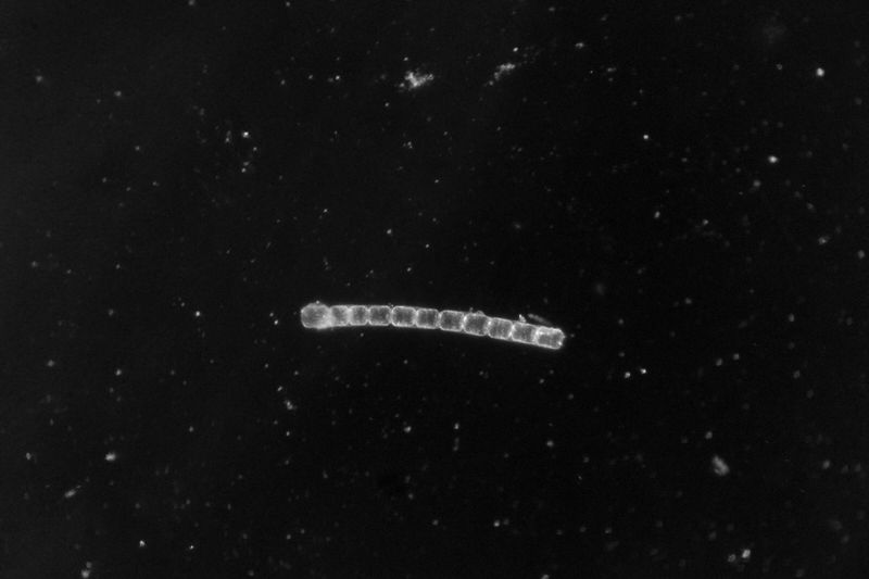 © Bénédicte Blondeau