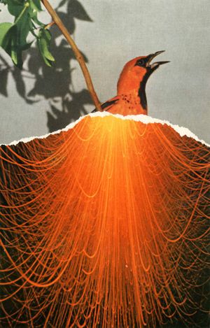 Artphilein Open Call 2026