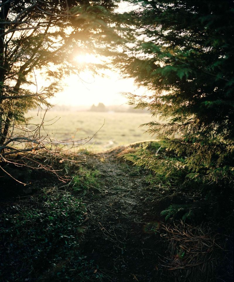 © Thomas Duffield