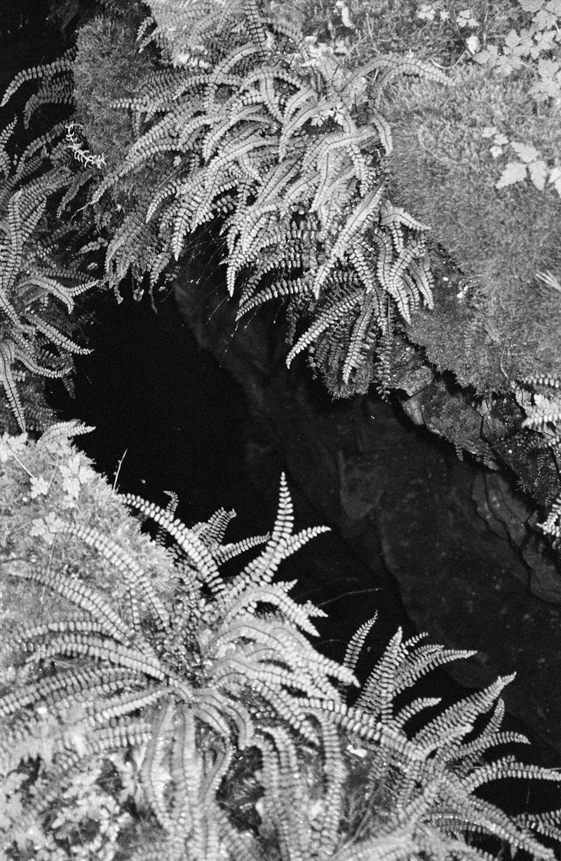 © Marie Hervé & Elsa Martinez