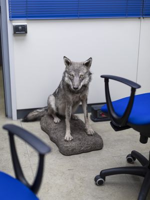 Liquida Photo Festival 2026