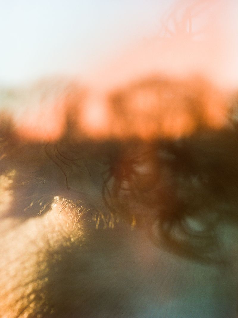 © Matthieu Litt