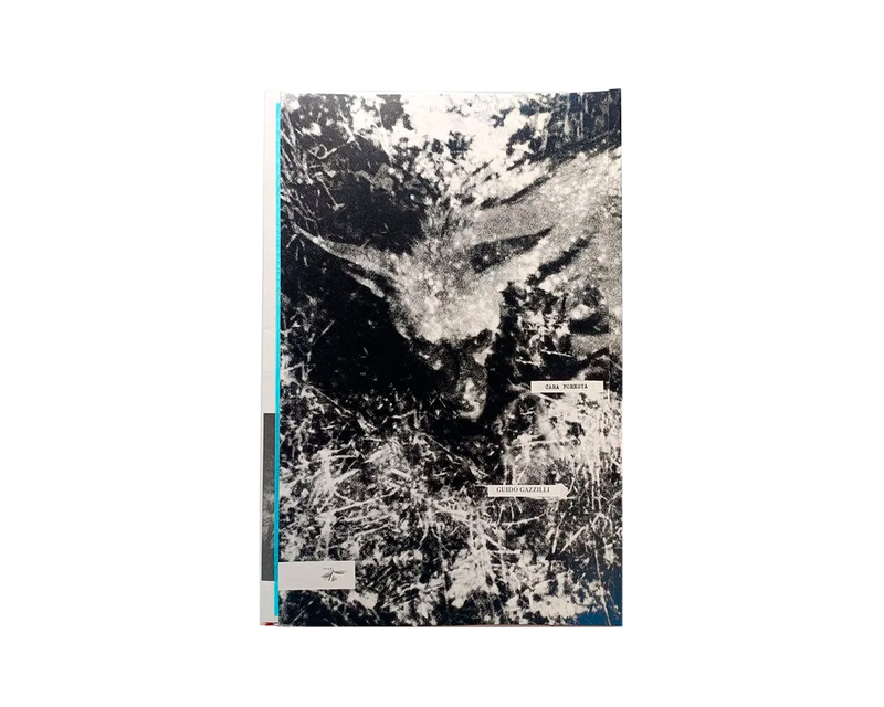 © CARA FORESTA by Guido Gazzilli, published by GRANI EDIZIONI