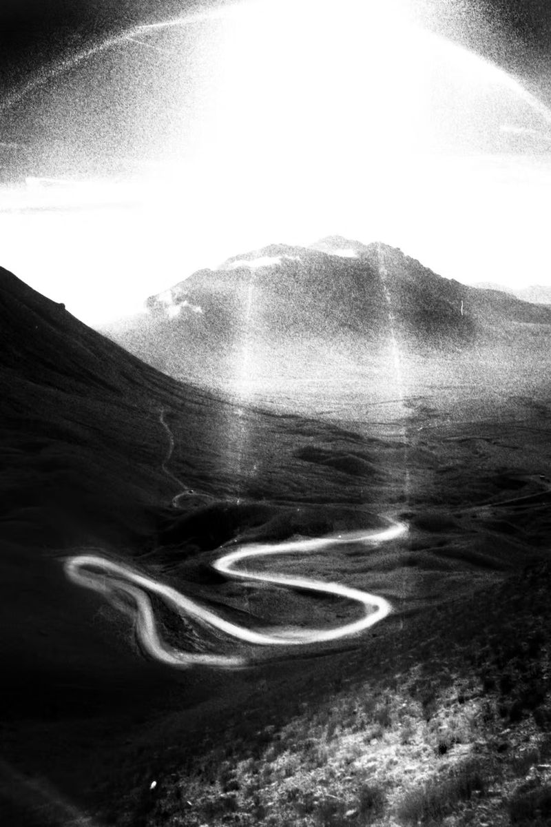 © CARA FORESTA by Guido Gazzilli, published by GRANI EDIZIONI