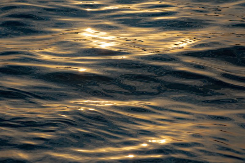 © Anahi Miranda - Image from the Flowers to forget photography project