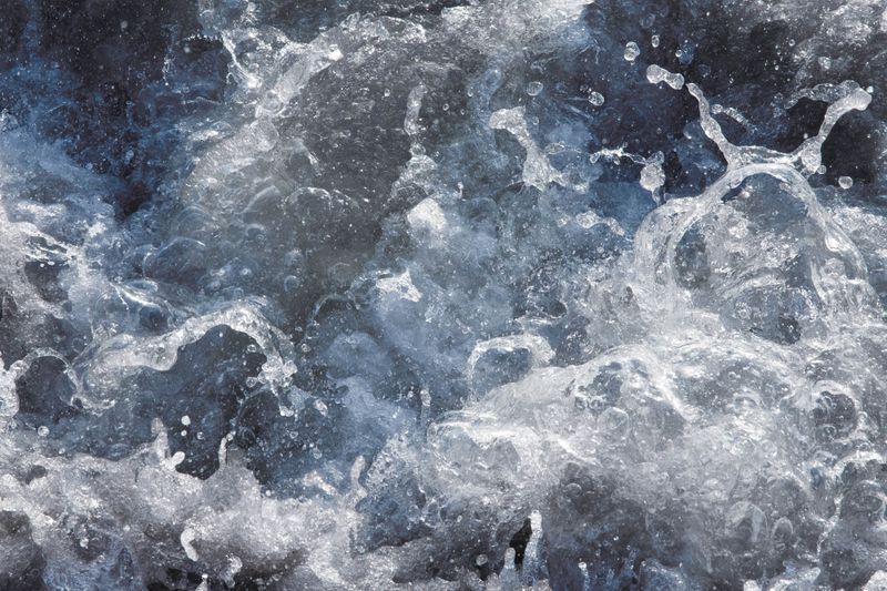 © Anahi Miranda - Image from the Flowers to forget photography project