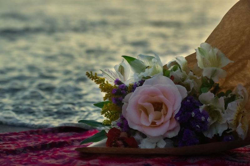 © Anahi Miranda - Image from the Flowers to forget photography project