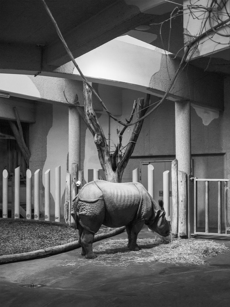 © Oliver Lantos - Oliver Lantos - "Du musst dein Leben ändern" - Rhino