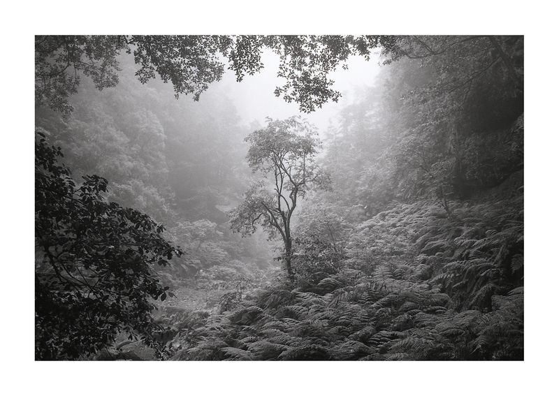 © Tatiana Takáčová - Fernweh 11