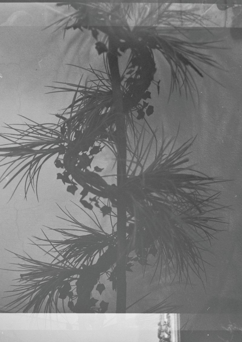 © Tatiana Takáčová - Image from the IT MIGHT SOUND A LITTLE ODD photography project