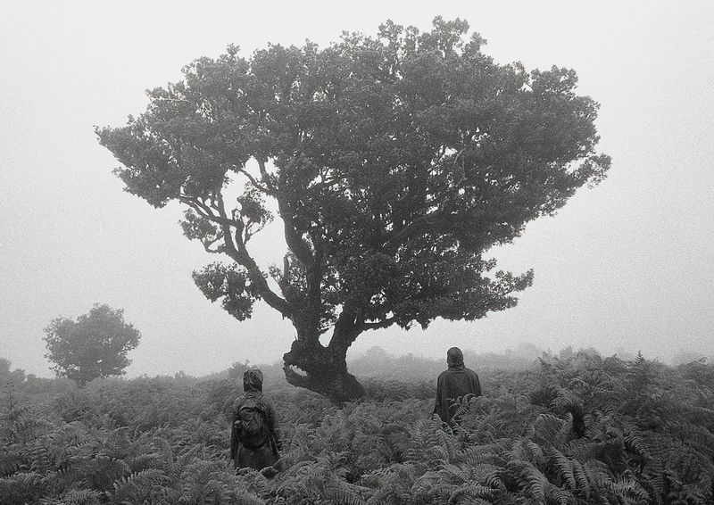 © Tatiana Takáčová - Image from the IT MIGHT SOUND A LITTLE ODD photography project