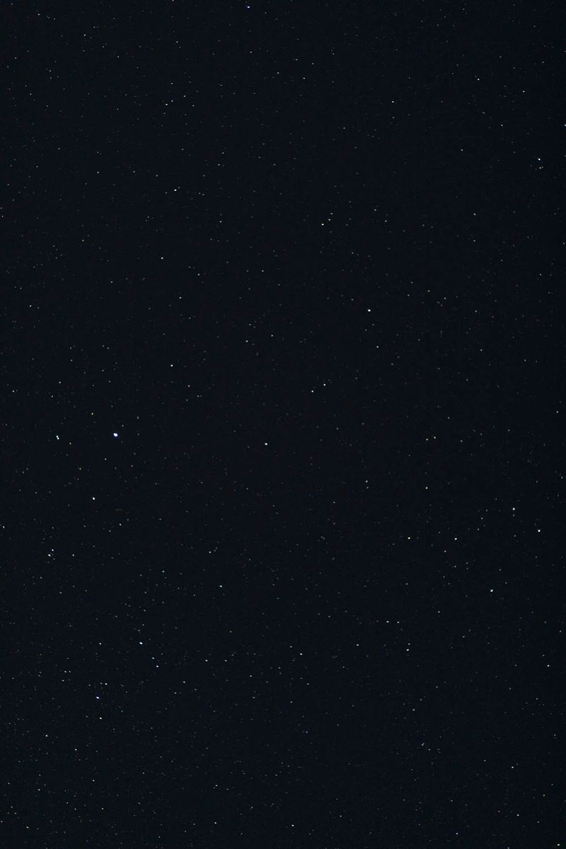 © Flavia Rossi - Image from the Se Eros e Thanatos a Palazzo Abatellis photography project