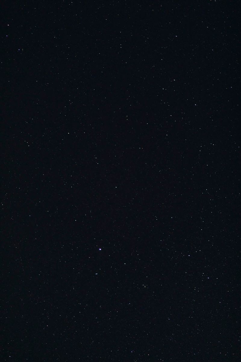 © Flavia Rossi - Image from the Se Eros e Thanatos a Palazzo Abatellis photography project