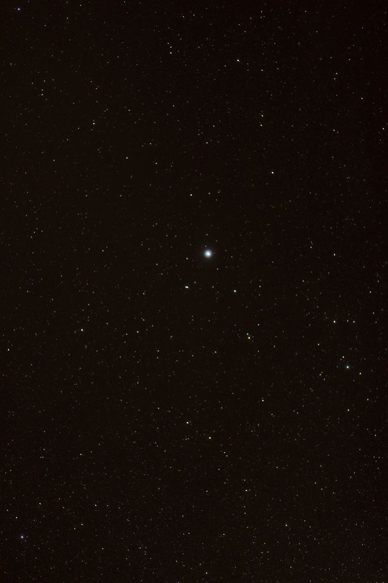 © Flavia Rossi - Image from the Se Eros e Thanatos a Palazzo Abatellis photography project