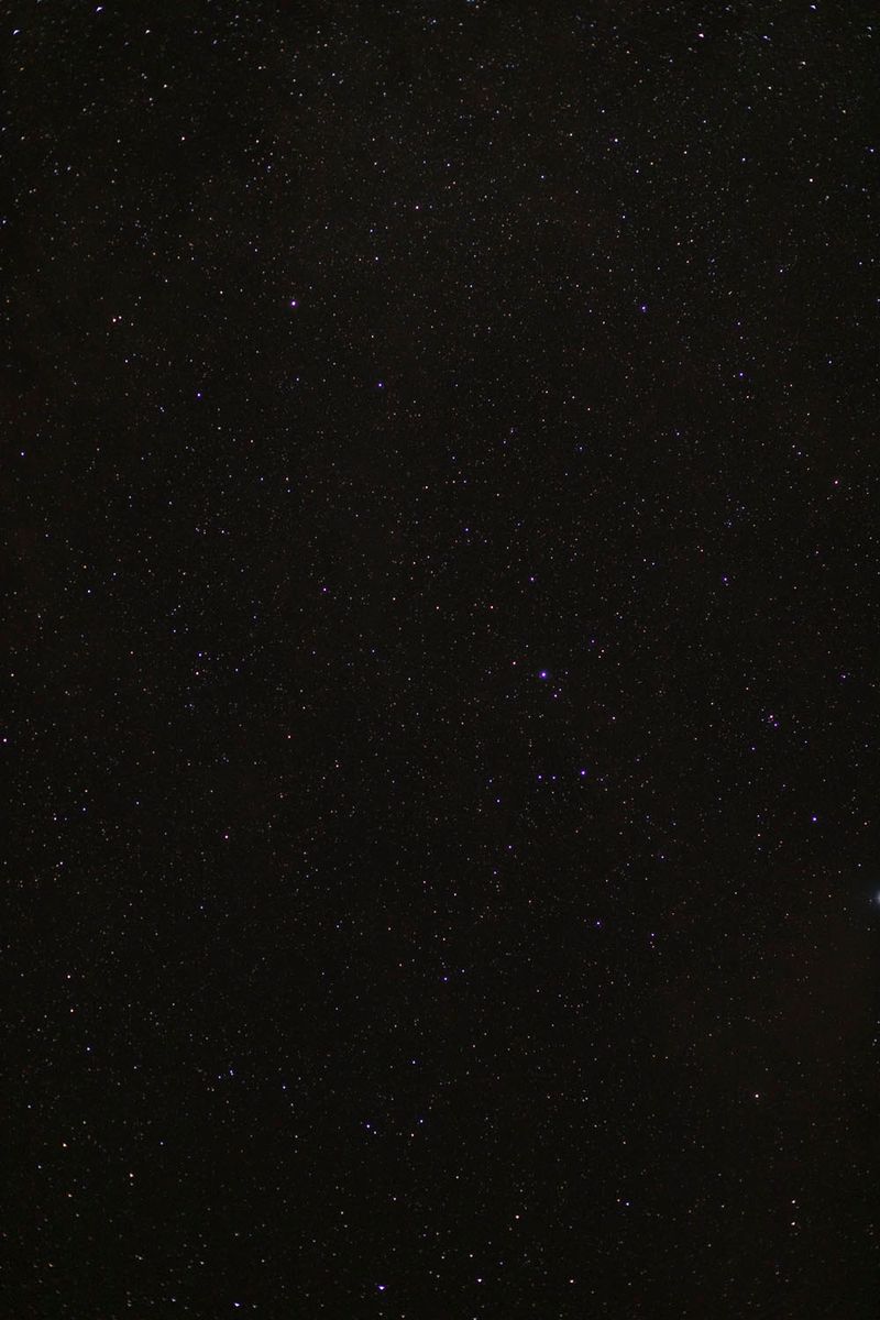 © Flavia Rossi - Image from the Se Eros e Thanatos a Palazzo Abatellis photography project