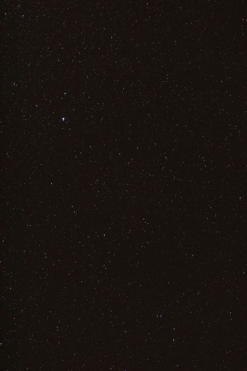 © Flavia Rossi - Image from the Se Eros e Thanatos a Palazzo Abatellis photography project