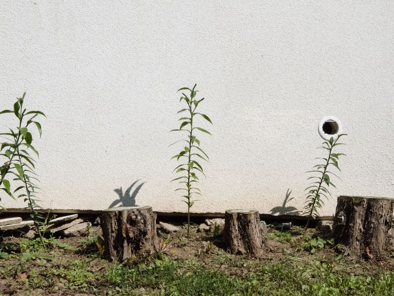© Lu Mazen - Image from the Beyond the wild photography project