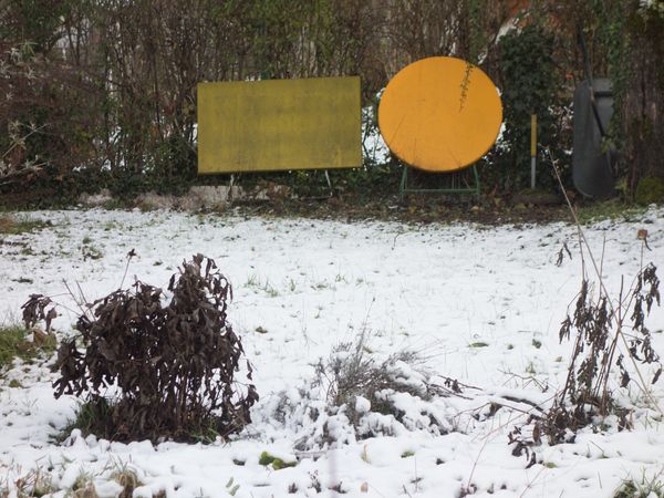 © Lu Mazen - Image from the Beyond the wild photography project