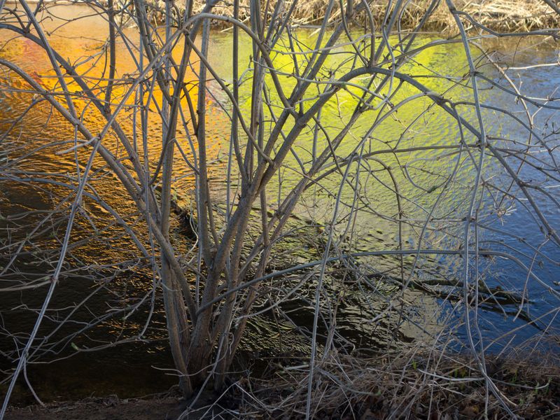 © Lu Mazen - Image from the Beyond the wild photography project