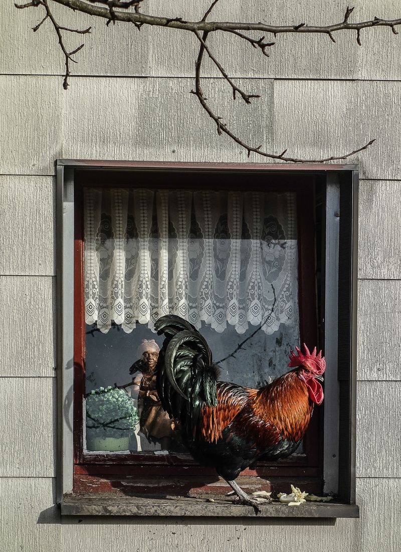 © Lu Mazen - Image from the Beyond the wild- A voyage of discovery to the countryside photography project