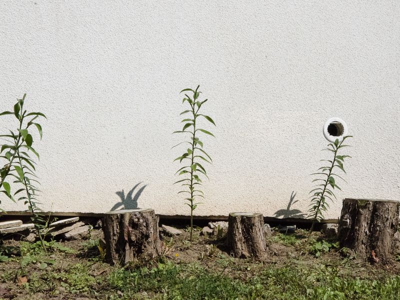 © Lu Mazen - Image from the Beyond the wild- A voyage of discovery to the countryside photography project