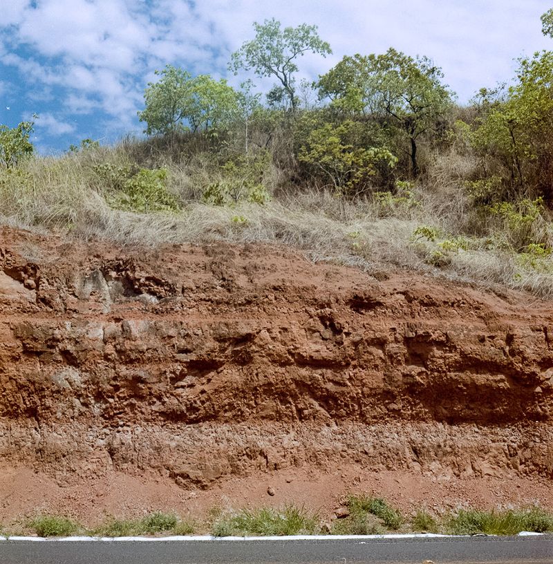 © Paula Pedrosa - Sedimentary layers with fossil outcrop Gurinhatã (MG), Brazil