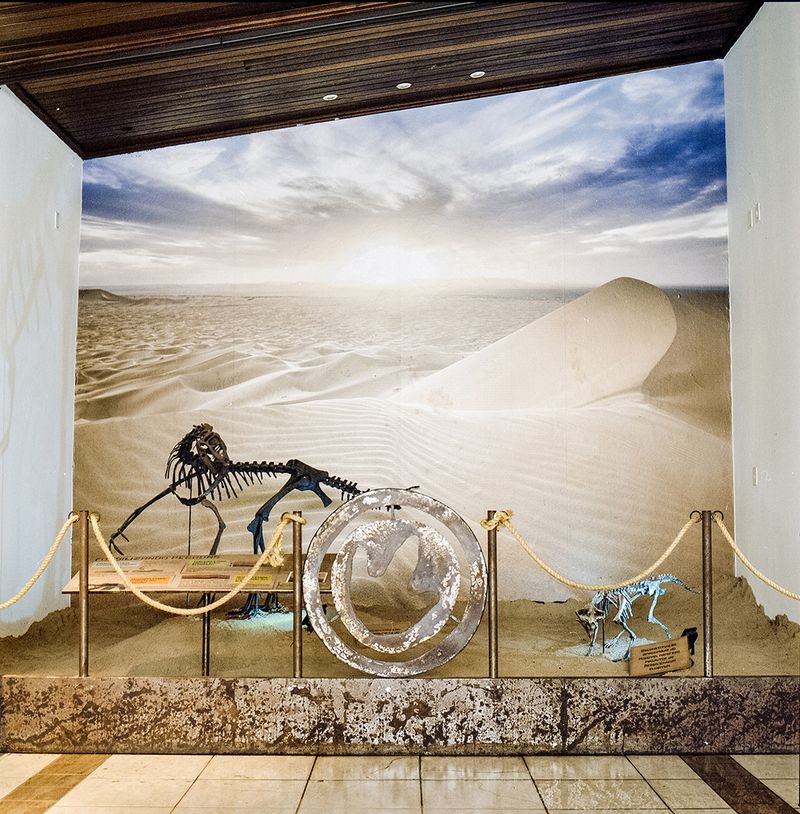 © Paula Pedrosa - Botucatu desert Araraquara (SP), Brazil