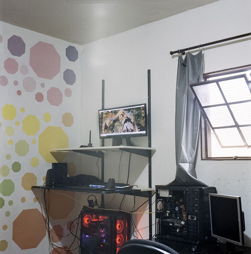 © Paula Pedrosa - Paleoartist studio Uberaba (MG), Brazil