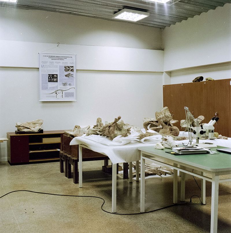 © Paula Pedrosa - Paleontology lab Peirópolis (MG), Brazil