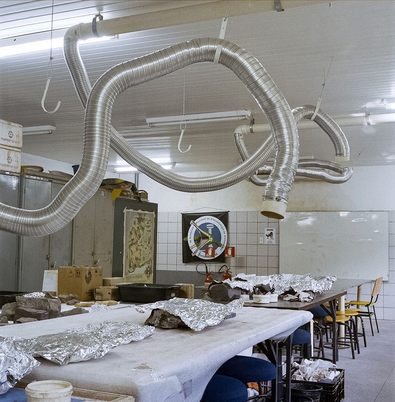 © Paula Pedrosa - Paleontology lab Teresina (PI), Brazil