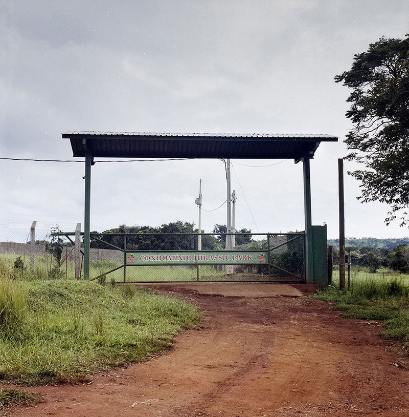 © Paula Pedrosa - Image from the The living nature of the stone-dead photography project