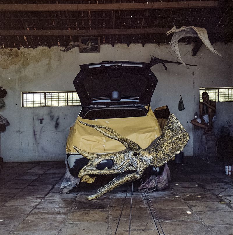 © Paula Pedrosa - A kitschy replica of a pterosaur and triceratops made of fiberglass decorates an auto shop in Santana do Cariri, Brazil.