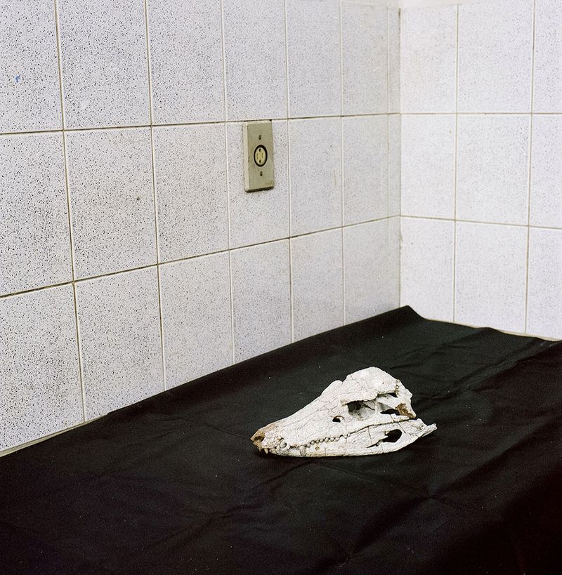 © Paula Pedrosa - Image from the The living nature of the stone-dead photography project