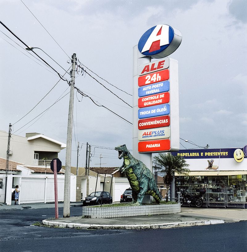 © Paula Pedrosa - Image from the The living nature of the stone-dead photography project