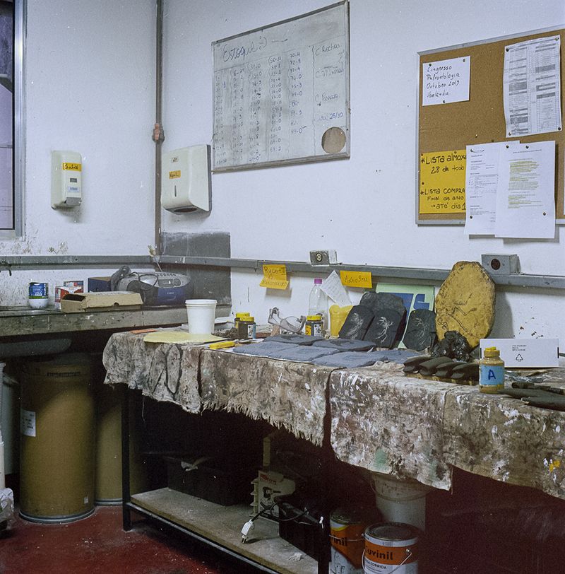 © Paula Pedrosa - The University of São Paulo, Brazil, has a lab that makes fossil replicas and models for educational purposes.