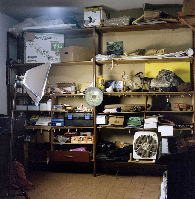 © Paula Pedrosa - Image from the The living nature of the stone-dead photography project