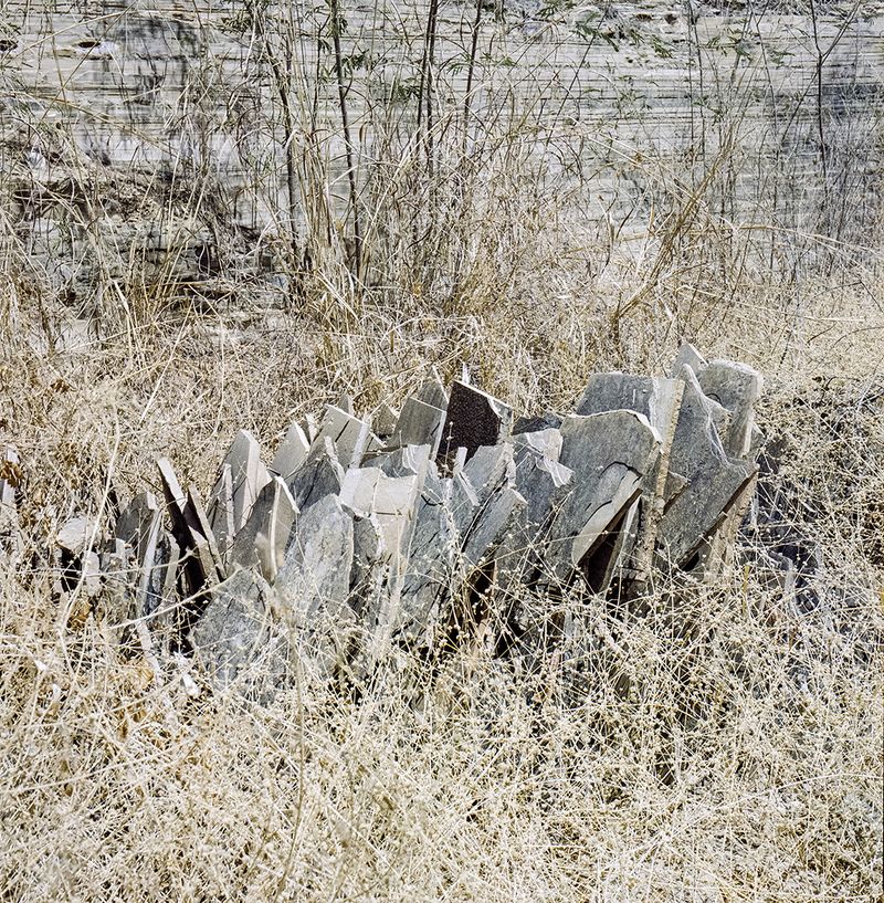 © Paula Pedrosa - Image from the The living nature of the stone-dead photography project