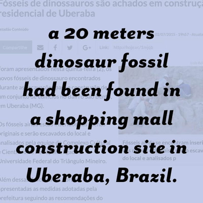 © Paula Pedrosa - Image from the The living nature of the stone-dead photography project