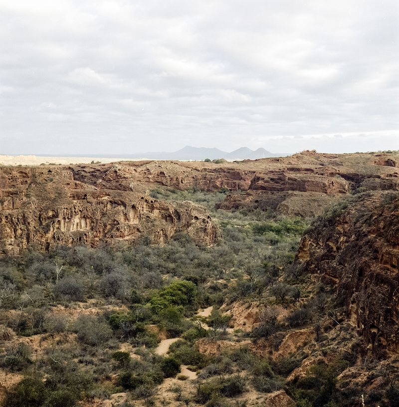 © Paula Pedrosa - Image from the The living nature of the stone-dead photography project